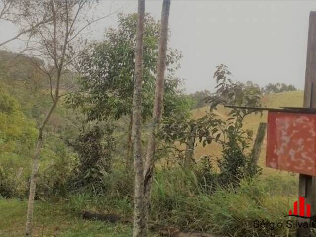 #15 - Chácara para Venda em Santo Antônio do Pinhal - SP