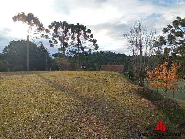 #120 - Terreno para Venda em Campos do Jordão - SP