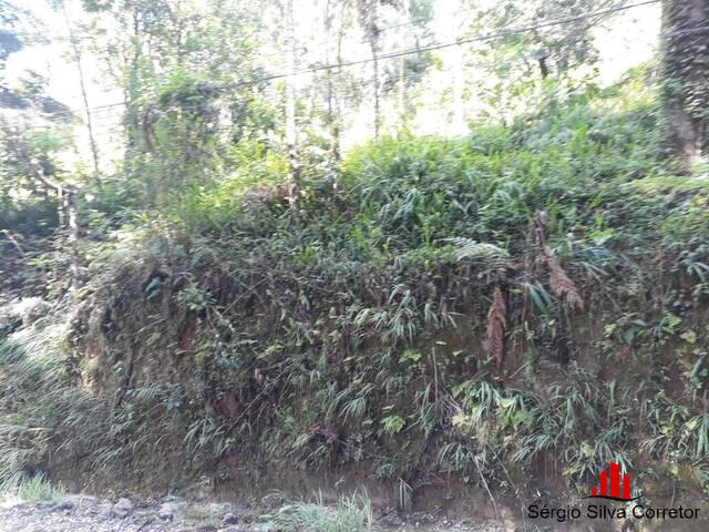 #138 - Terreno para Venda em Campos do Jordão - SP