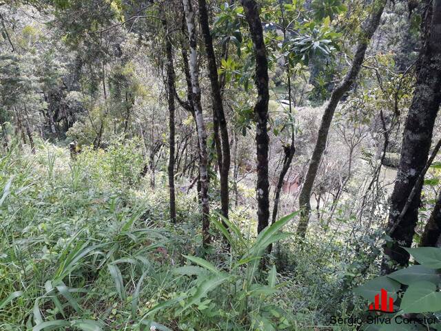 #138 - Terreno para Venda em Campos do Jordão - SP