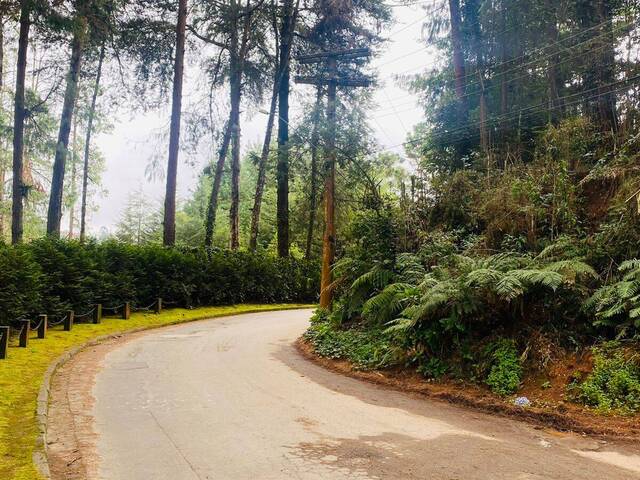 #155 - Terreno para Venda em Campos do Jordão - SP