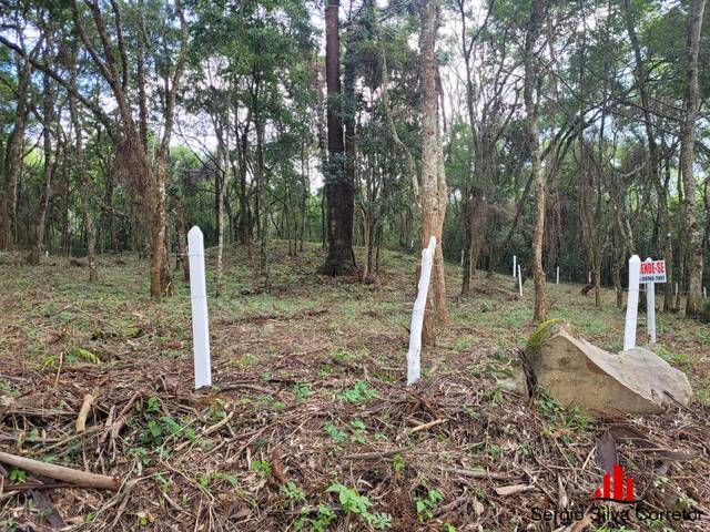 #156 - Área para Venda em Campos do Jordão - SP