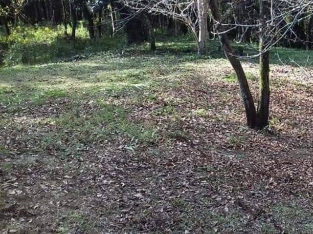 #169 - Terreno para Venda em Campos do Jordão - SP