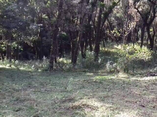 #169 - Terreno para Venda em Campos do Jordão - SP