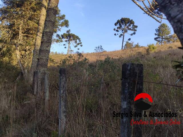 #189 - Terreno para Venda em Campos do Jordão - SP