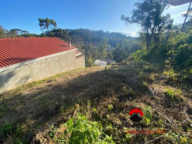 #229 - Terreno para Venda em Campos do Jordão - SP