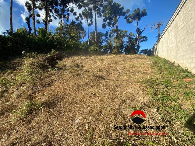 #229 - Terreno para Venda em Campos do Jordão - SP