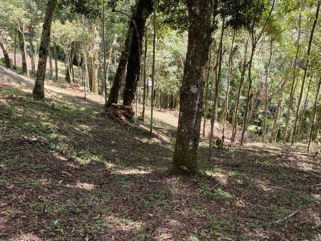 #238 - Terreno para Venda em Campos do Jordão - SP