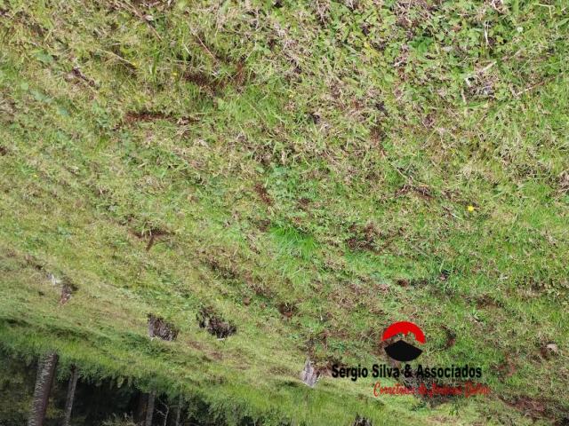 #243 - Terreno para Venda em Campos do Jordão - SP