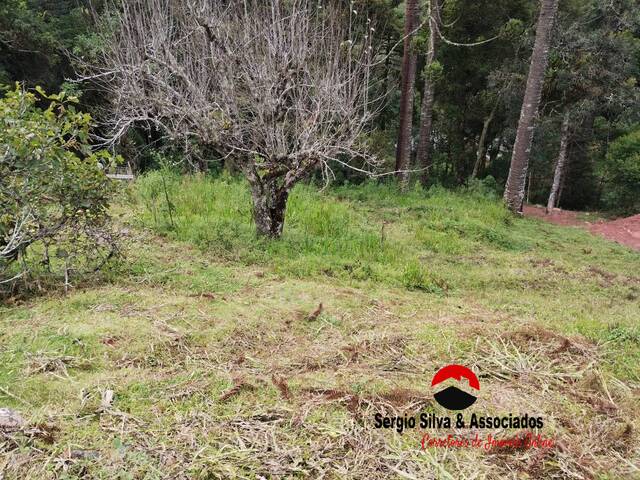 #243 - Terreno para Venda em Campos do Jordão - SP