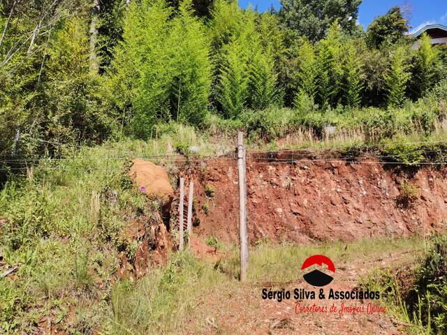 #252 - Terreno para Venda em Campos do Jordão - SP