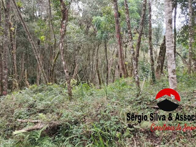 #265 - Terreno para Venda em Campos do Jordão - SP