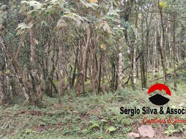 #265 - Terreno para Venda em Campos do Jordão - SP