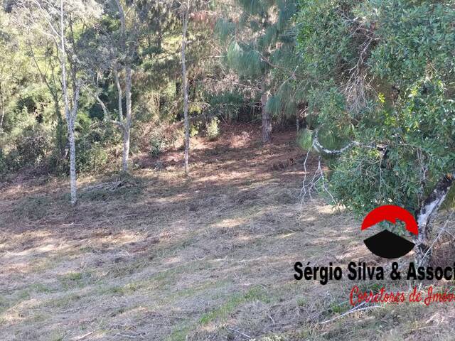 #272 - Terreno para Venda em Campos do Jordão - SP