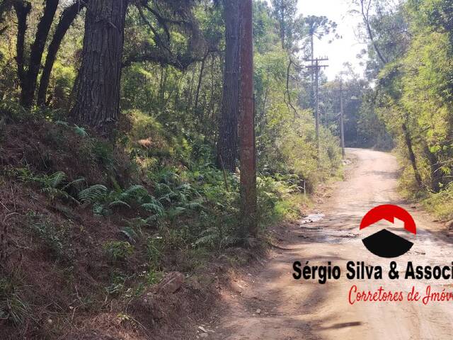 #274 - Terreno para Venda em Campos do Jordão - SP