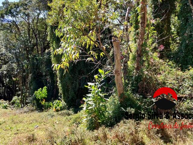 #276 - Terreno para Venda em Campos do Jordão - SP