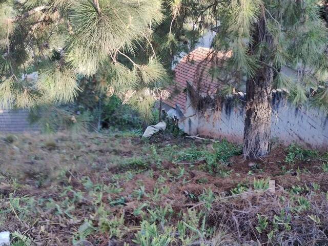 #284 - Terreno para Venda em Campos do Jordão - SP