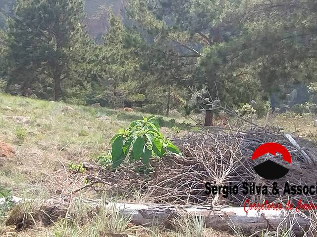 #288 - Terreno para Venda em Campos do Jordão - SP