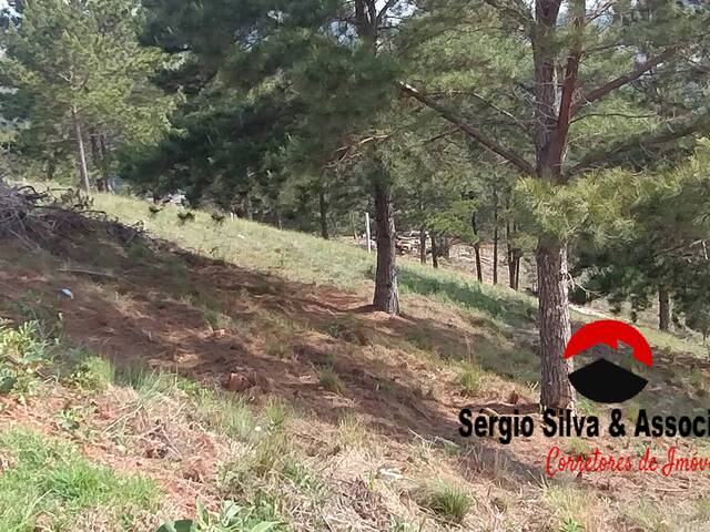 #288 - Terreno para Venda em Campos do Jordão - SP