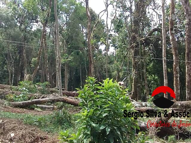 #287 - Terreno para Venda em Campos do Jordão - SP